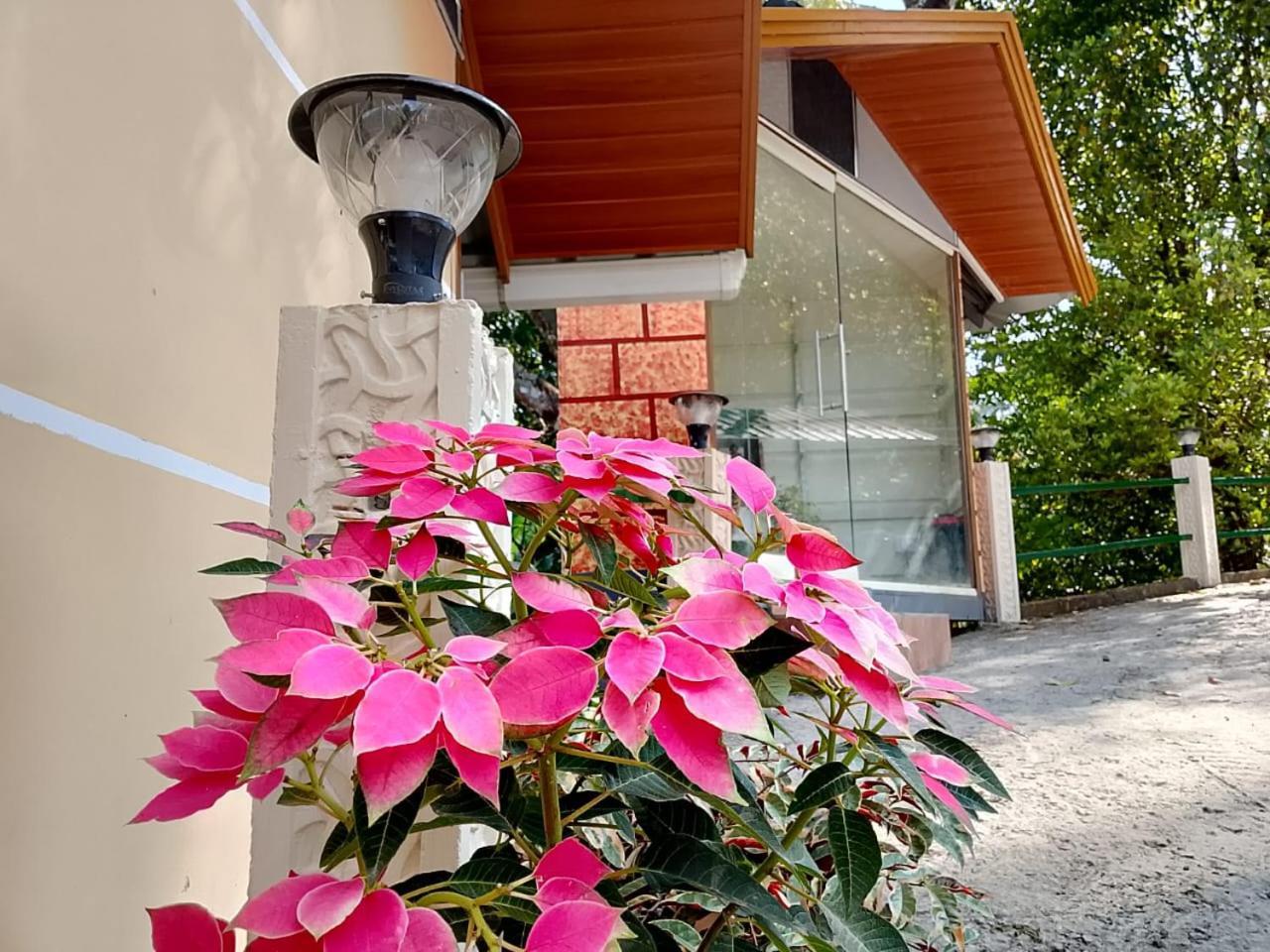 Cloudscape Homestay Pirmed Екстер'єр фото
